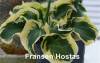 Фотография сорта на сайте Franxen Hostas